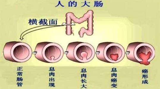 医博肛肠医院地址